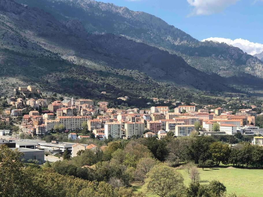 Magnifique Studio Dans Residence Neuve Amantea Exterior foto